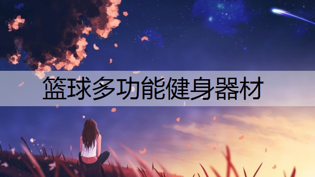 篮球多功能健身器材