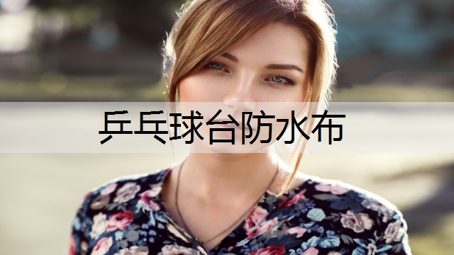 乒乓球台防水布