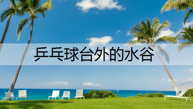 乒乓球台外的水谷