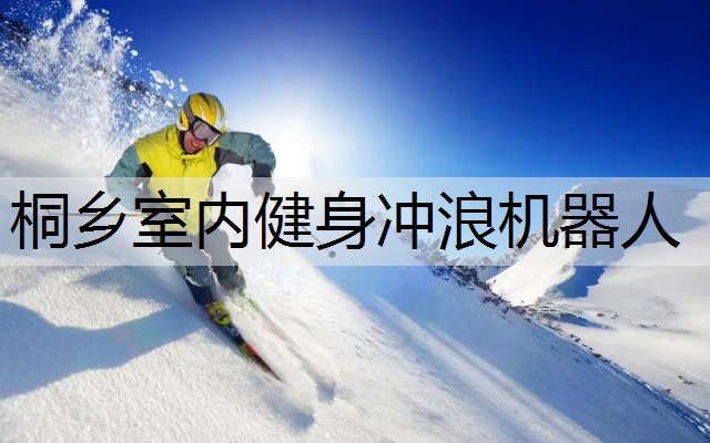 桐乡室内健身冲浪机器人