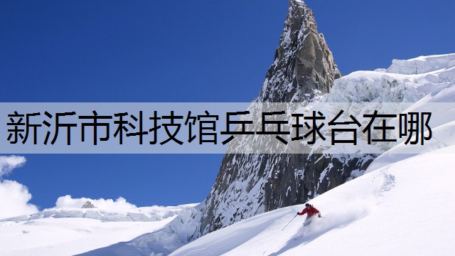 新沂市科技馆乒乓球台在哪