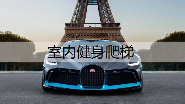 室内健身爬梯