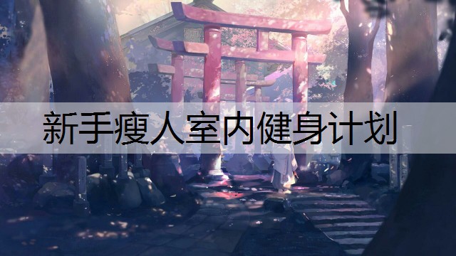 新手瘦人室内健身计划