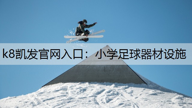 k8凯发官网入口：小学足球器材设施
