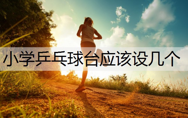 小学乒乓球台应该设几个