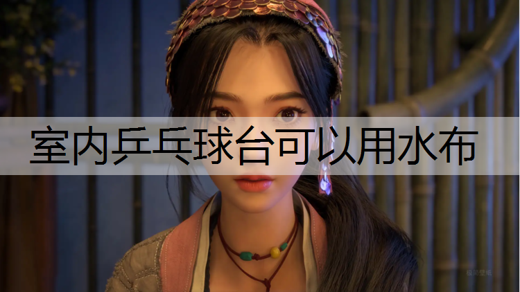 室内乒乓球台可以用水布