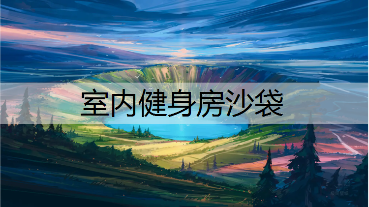 室内健身房沙袋