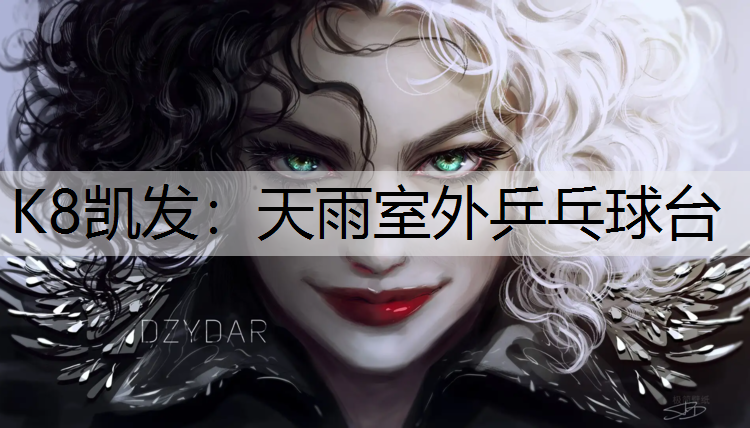 K8凯发：天雨室外乒乓球台