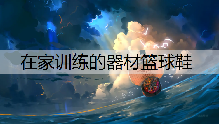 在家训练的器材篮球鞋