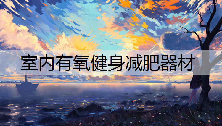 室内有氧健身减肥器材