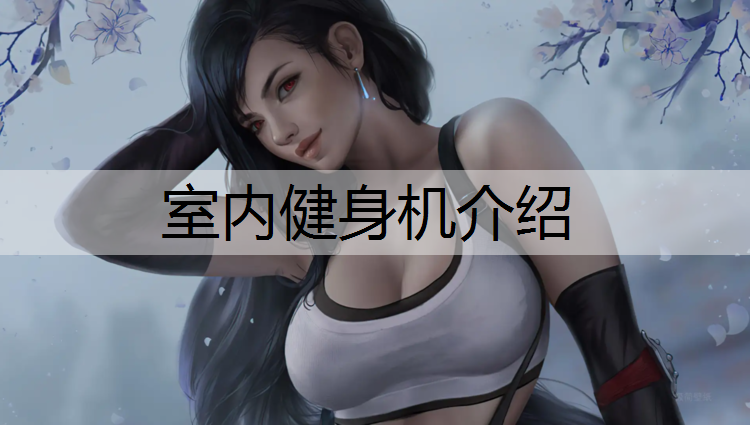 室内健身机介绍