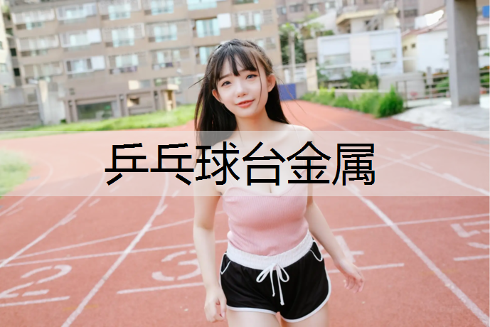 乒乓球台金属