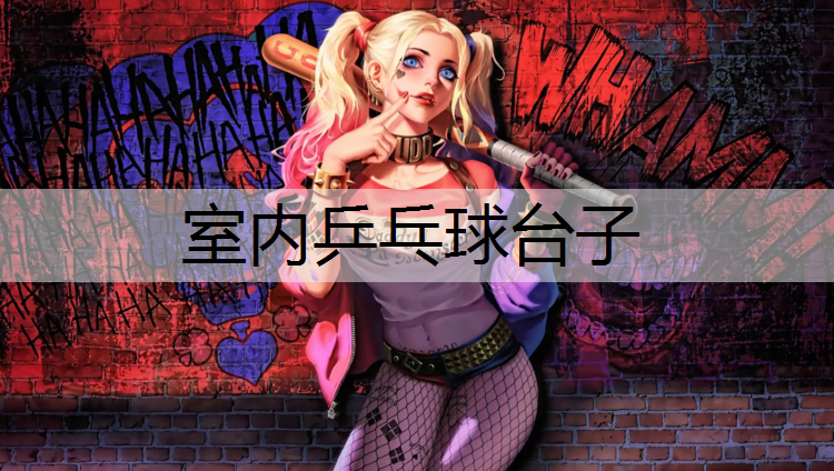室内乒乓球台子