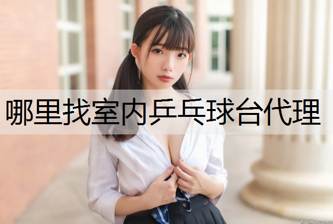 哪里找室内乒乓球台代理