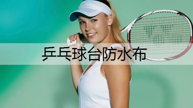 乒乓球台防水布 乒乓球台防水布