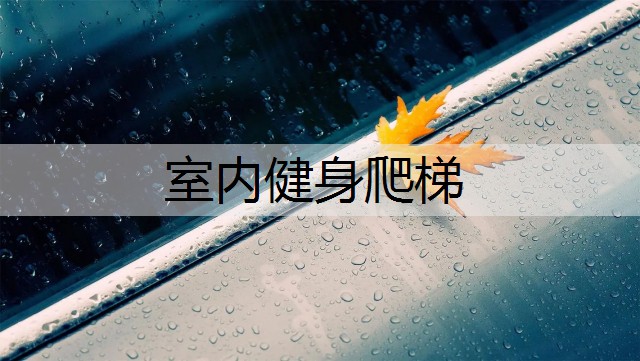 室内健身爬梯