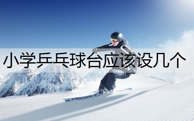 小学乒乓球台应该设几个