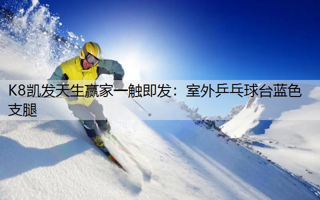 室外乒乓球台蓝色支腿