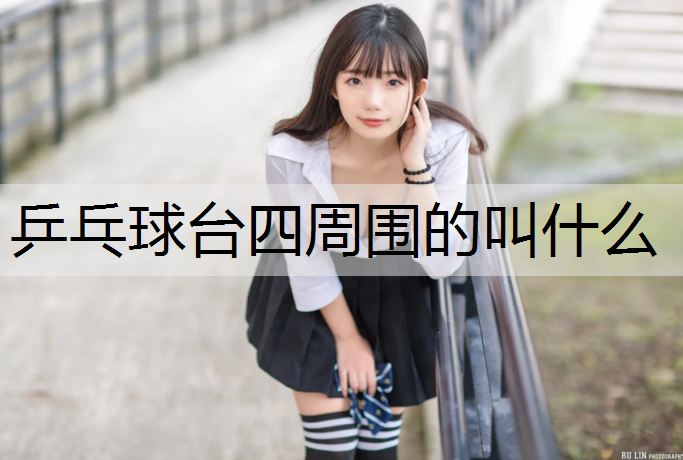 乒乓球台四周围的叫什么