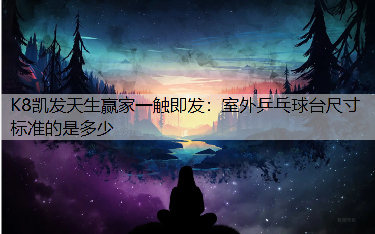 室外乒乓球台尺寸标准的是多少