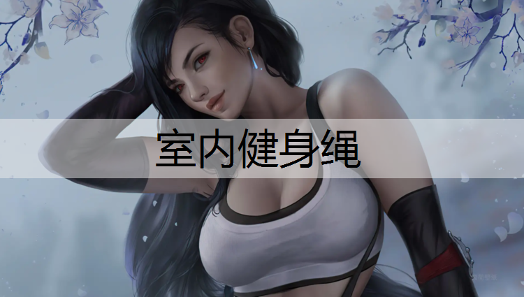 室内健身绳