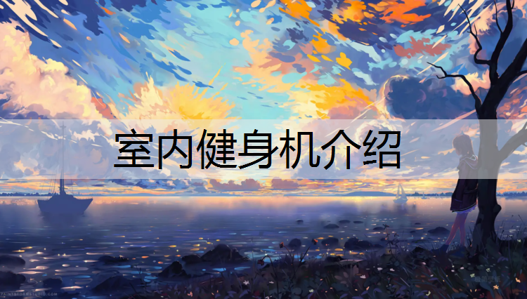 室内健身机介绍