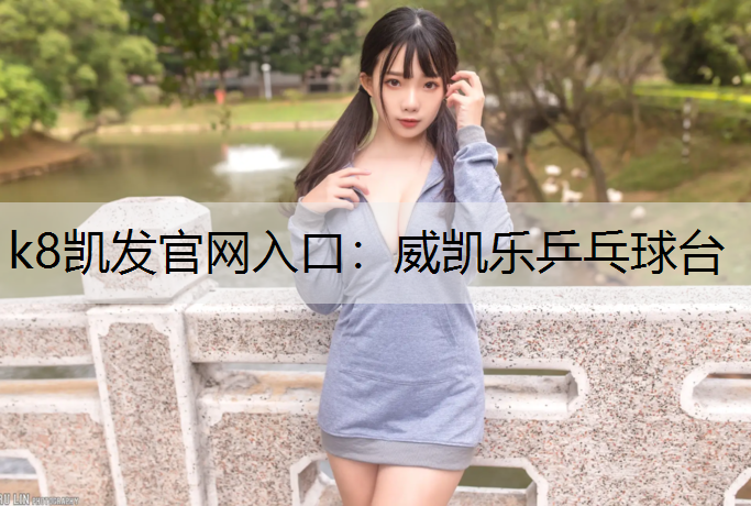 威凯乐乒乓球台