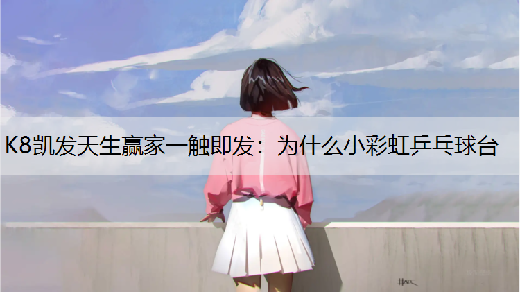 为什么小彩虹乒乓球台
